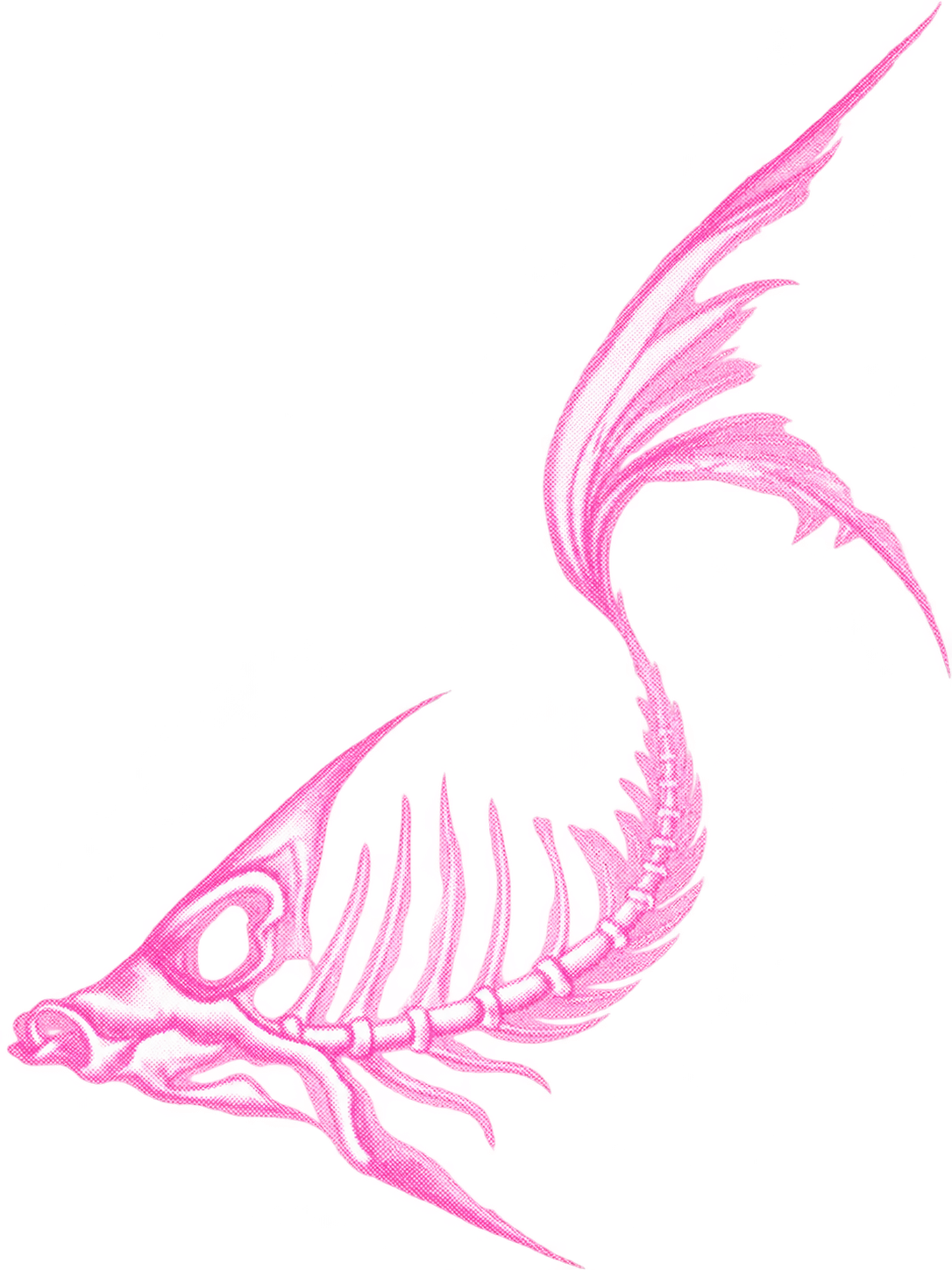粉色鱼骨插画